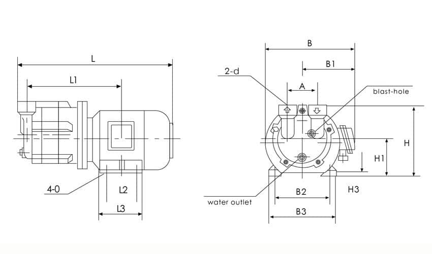 vaccum pump2