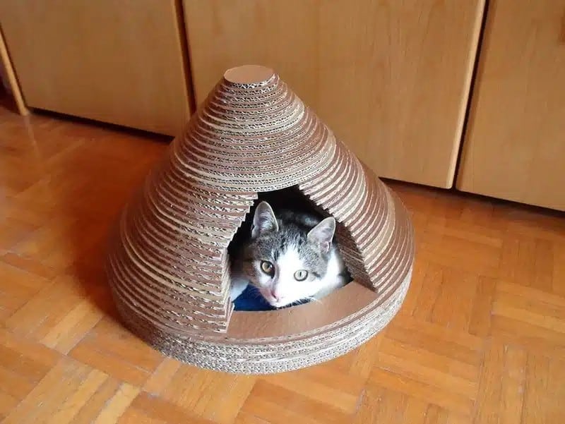 บ้านแมว คอนโดแมว จากกระดาษลูกฟูก