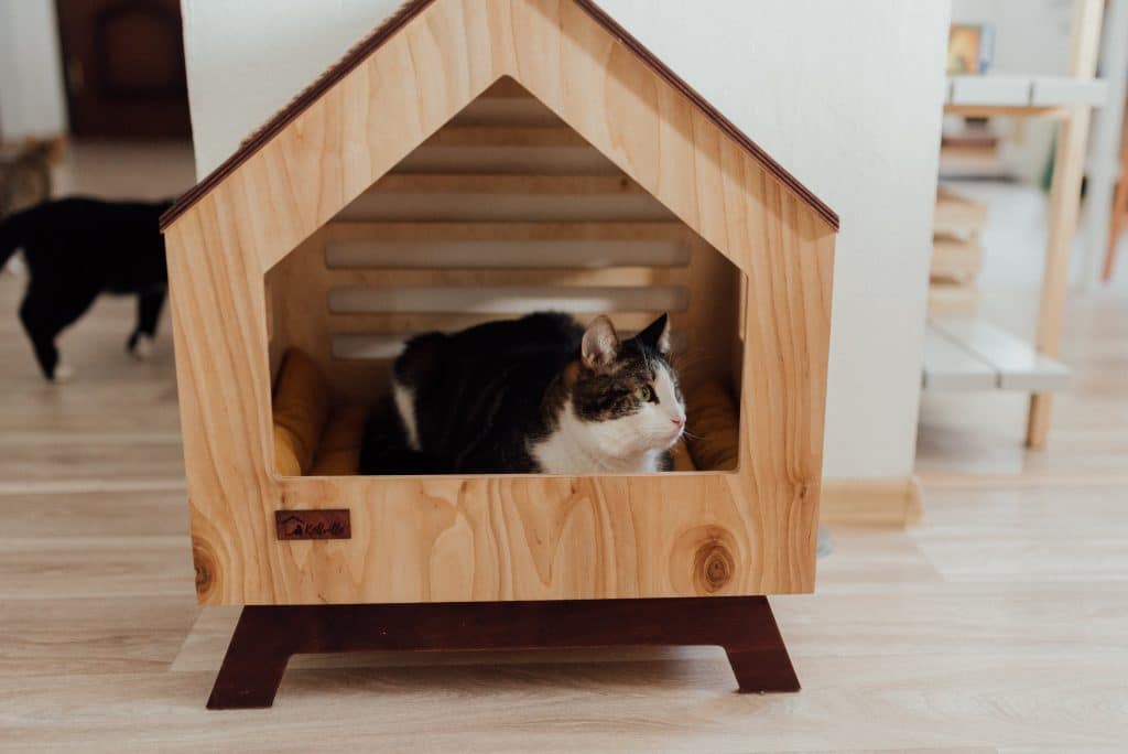 บ้านแมว คืออะไร มีความสำคัญอย่างไร และการเลือกบ้านแมว (2567) 2